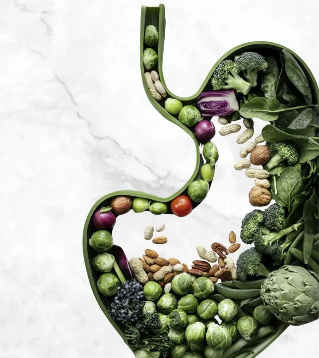 Representación de una dieta saludable para el sistema digestivo compuesta por fibra y alimentos naturales