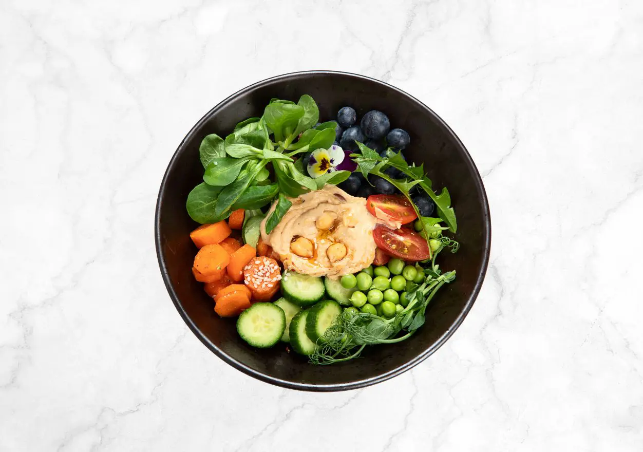 Alimentación balanceada para una dieta médica sostenible