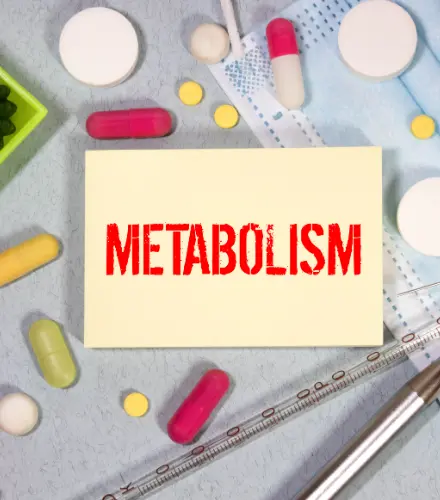 Plan Metabólico, Dieta médica, plan personalizado