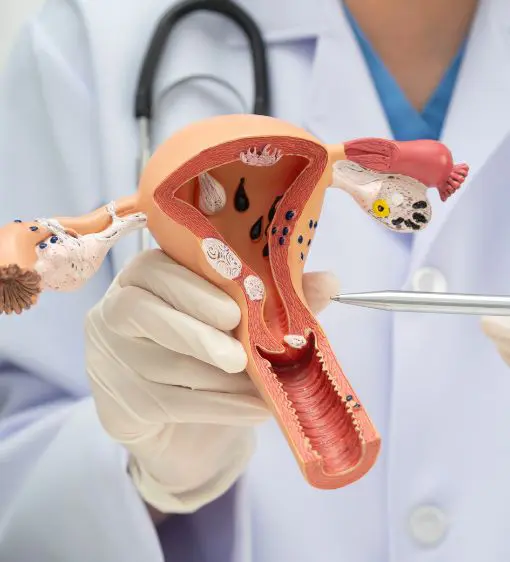 El control de peso visto como un acto positivo de salud y bienestar