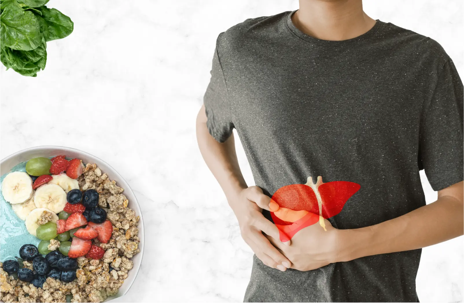 Plan de alimentación para hígado graso que reduce la acumulación de grasa y mejora la función hepática