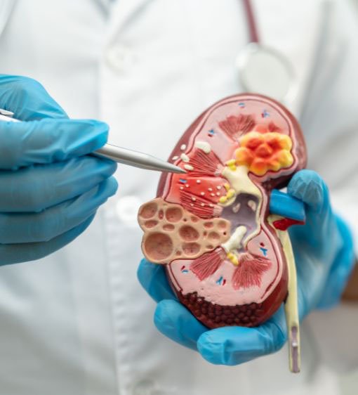 El control de peso visto como un acto positivo de salud y bienestar