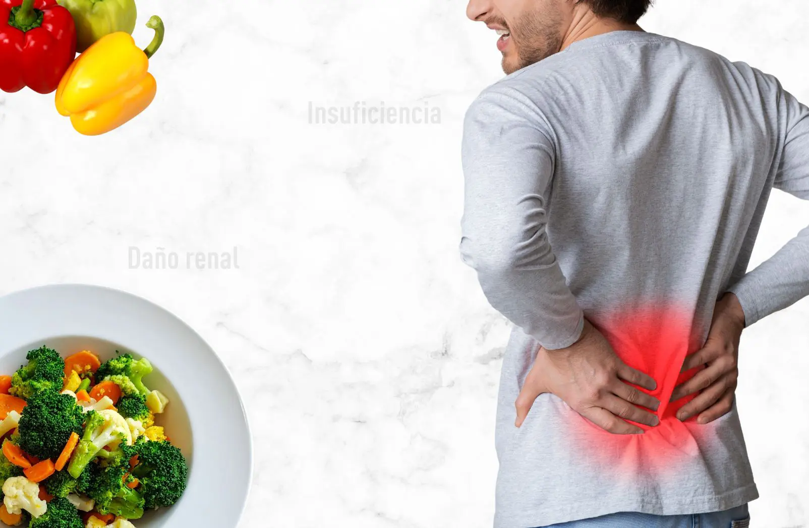 Dieta médica especializada para el manejo de la insuficiencia y daño renal